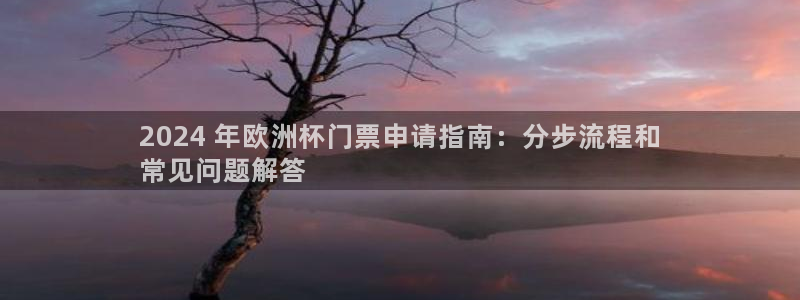 买球平台官方网站：2024 年欧洲杯门票申请指南：分步流程和
常见问题解答