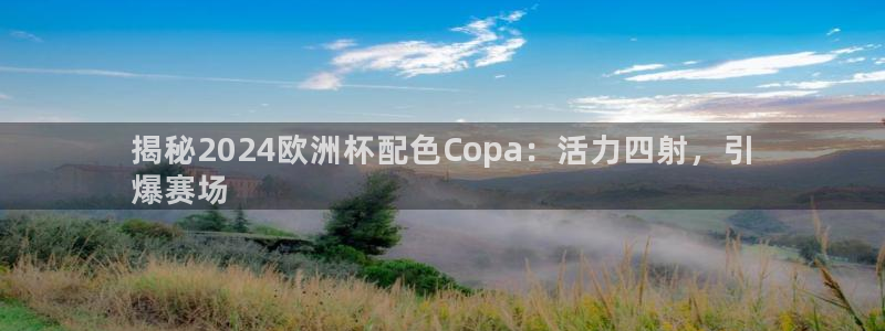 欧洲杯决赛彩票网上购买：揭秘2024欧洲杯配色Copa：活力四射，引
爆赛场