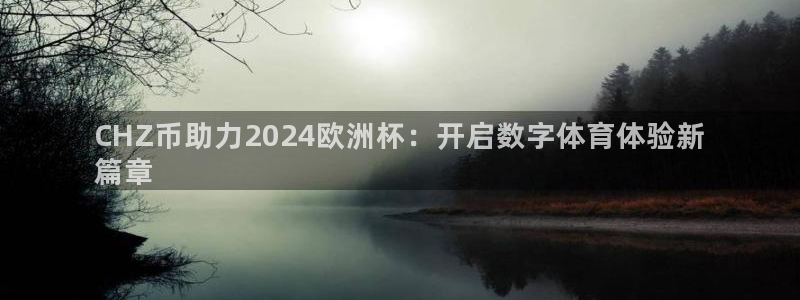 欧洲杯靠谱买球平台|CHZ币助力2024欧洲杯：开启数字体育体验新
篇章