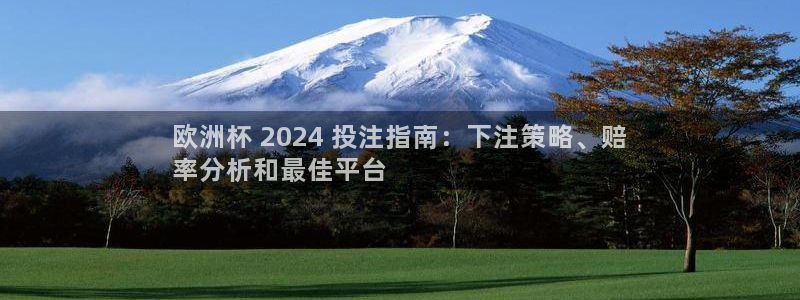 怎么买欧洲杯|欧洲杯 2024 投注指南：下注策略、赔
率分析和最佳平台