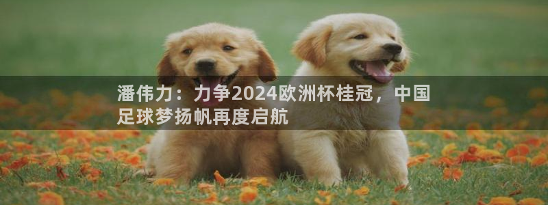 2024欧洲杯买球推荐