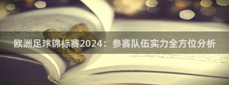 欧洲杯买球网|欧洲足球锦标赛2024：参赛队伍实力全方位分析