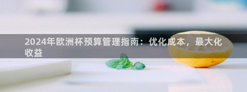 welcome欧洲杯开户|2024年欧洲杯预算管理指南：优化成本，最大化
收益