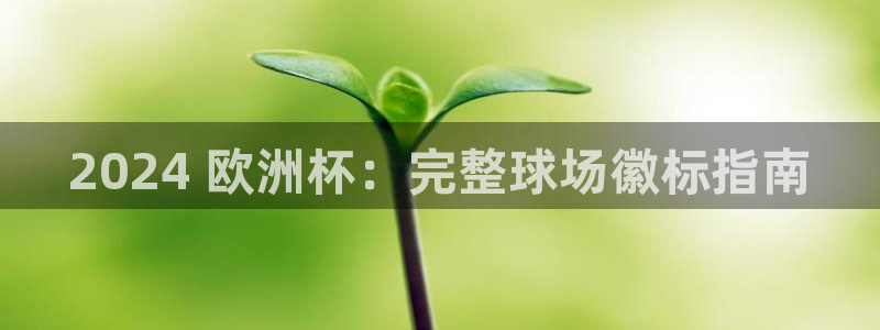 欧洲杯直播平台|2024 欧洲杯：完整球场徽标指南