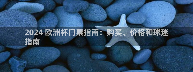 欧洲杯下单平台官网网址|2024 欧洲杯门票指南：购买、价格和球迷
指南