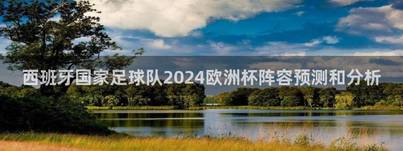 欧洲杯哪里买球靠谱|西班牙国家足球队2024欧洲杯阵容预测和分析