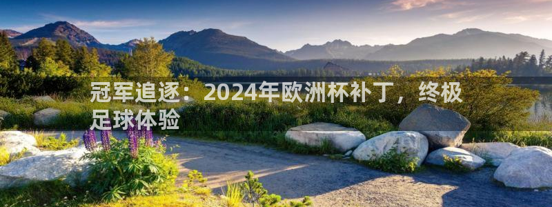 欧洲杯下单平台|冠军追逐：2024年欧洲杯补丁，终极
足球体验