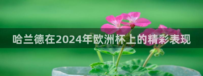 欧洲杯下单平台官方网站|哈兰德在2024年欧洲杯上的精彩表现