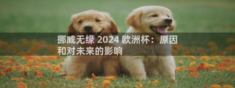 买欧洲杯的竞猜在那个app|挪威无缘 2024 欧洲杯：原因
和对未来的影响