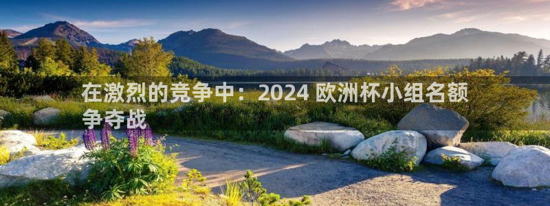 welcome欧洲杯开户|在激烈的竞争中：2024 欧洲杯小组名额
争夺战