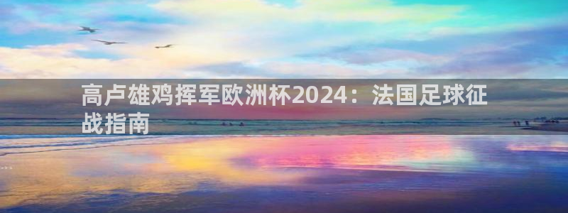 欧洲杯下单平台官方网站|高卢雄鸡挥军欧洲杯2024：法国足球征
战指南